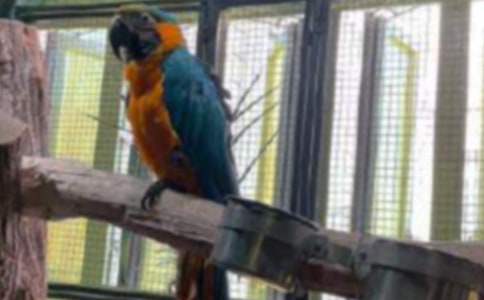�W�^С�W�����꼉����