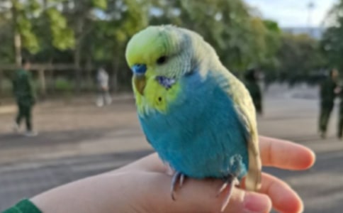 �^���W�^����14ƪ