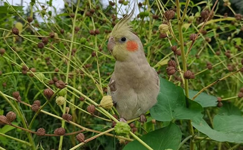 �W�^�o�ҵĆ�ʾ����