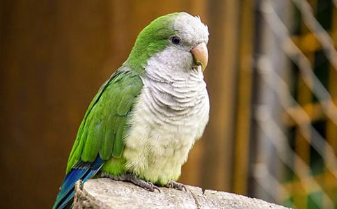 �W�^�~���ă�(y��u)��[5ƪ]