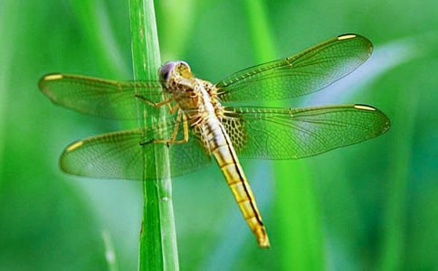 �δ����y�ֹ����C�D��֮���шD