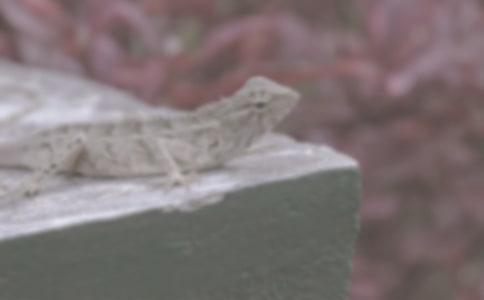 �Ҽҵ����惞������600��