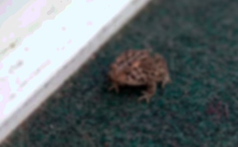 �ֹ��ۼ���܈D�ⲽ�E