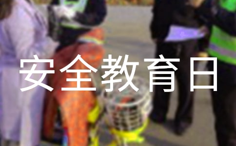 小學安全教育日活動總結