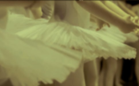 ����������15ƪ[����]