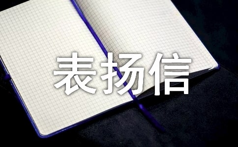 ���o�����ˆT�ı�P��13ƪ