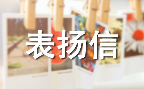 ���ޱ�P��
