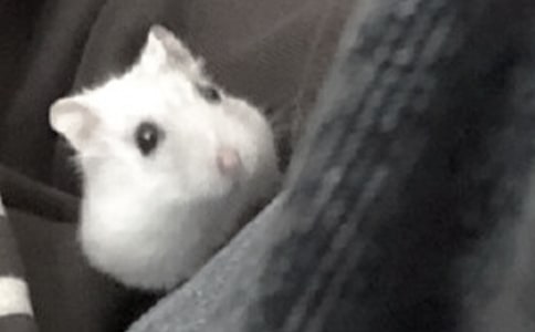 ���᡿�ҵĄ�(d��ng)�����т}(c��ng)������