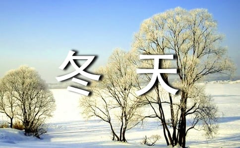[���A]����ľ�ɫ����