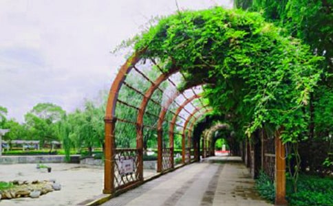 莫愁湖公園游記作文