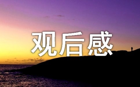 《山子的一家》觀后感