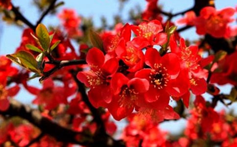 ����(y��u)�����~�����^���