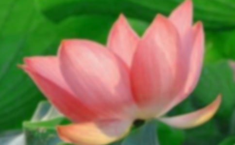 �P�������ĺɻ�С�W�����\����ƪ