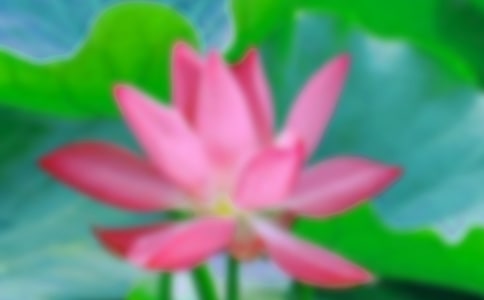 �ɻ�����350��