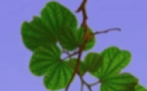 ���õĺ��C������300��