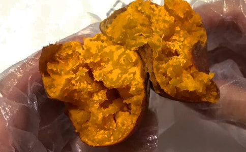 家鄉的紅薯作文600字4篇
