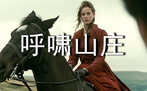 呼嘯山莊的讀書心得