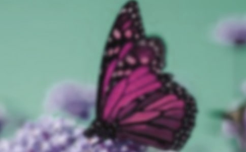 ����������300�ַ���(4ƪ)