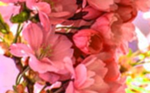 ӛ���еĻ�������