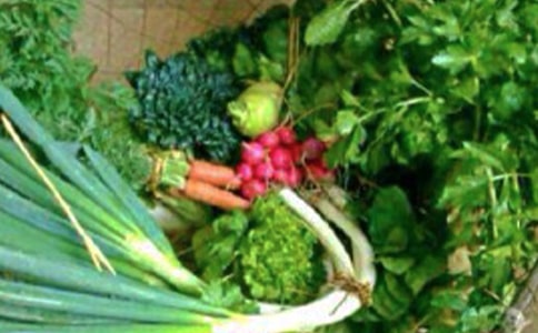 ��ཡ�����v�l�����̰�