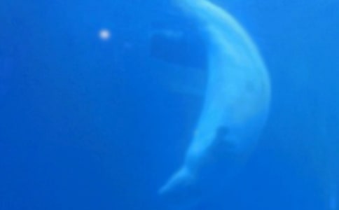 ���L�~��ԡ��С�����g�̰�