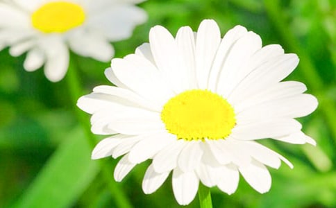 �ջ�����500��