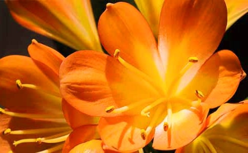�����m����400�� ��������