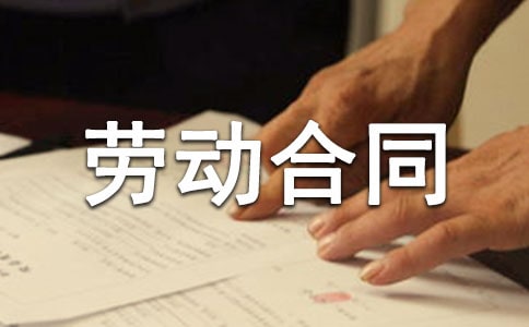 (熱)個(gè)人勞動(dòng)合同14篇