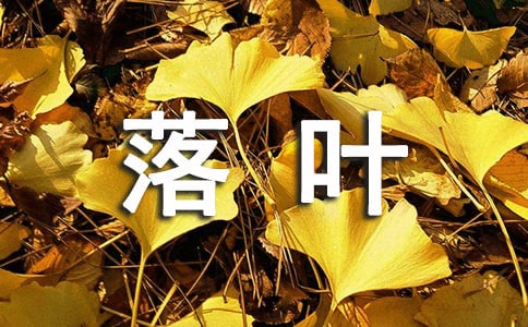 大班落葉語言教案