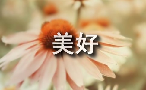 ���õ��������������600��3ƪ