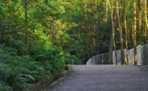 ���P(gu��n)��ɽ��ӛ����3ƪ