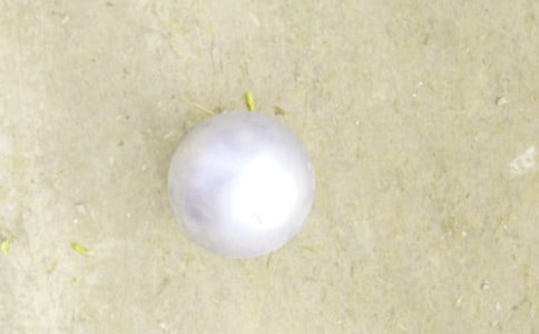 �U����͸�ͨ��15ƪ