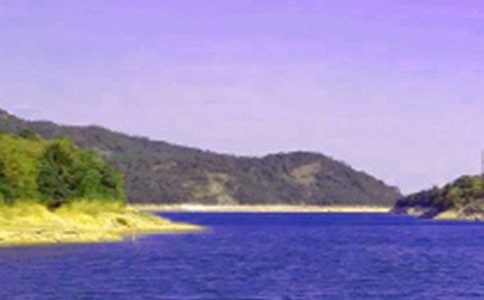 ��Ո��ҕ����ˮ�졷��x�𰸡����T��