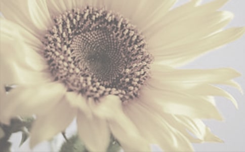 ̫ꖻ�������300�־�ƪ