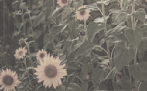 ̫ꖻ����꼉����300��8ƪ