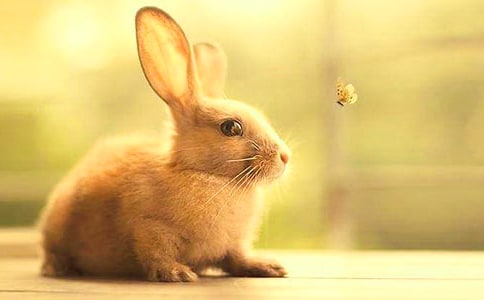 �ɐ۵���������300��3ƪ