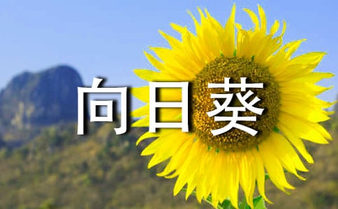 ���տ���΢Ц����