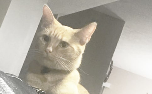 �ҵĄ�������С؈�����ġ�ͨ��15ƪ��