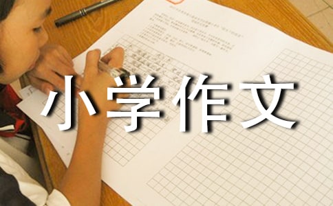 西安小學(xué)作文