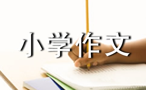 �~��С�W(xu��)����