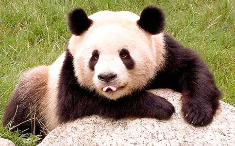 ����(sh��)�á���؈С�W(xu��)���ĺϼ�ʮƪ