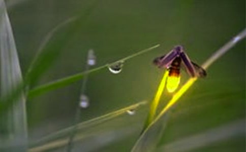 �а��Z��Ξ���x�̰�