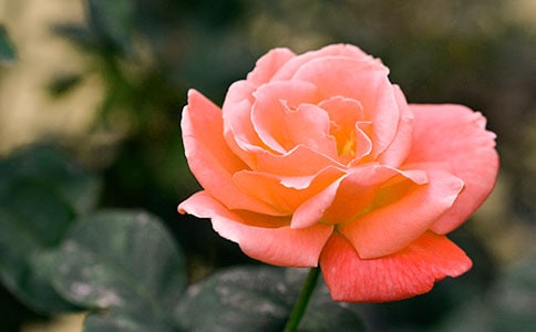 �¼�������500��3ƪ
