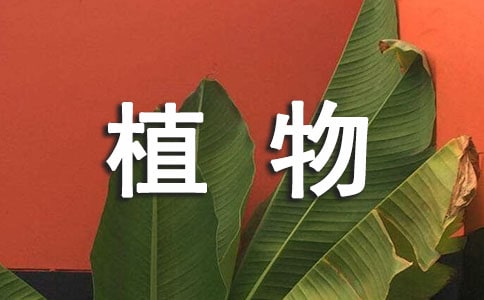 ���xֲ���^����ӛ�����\��6ƪ