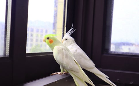 �W�^������600��