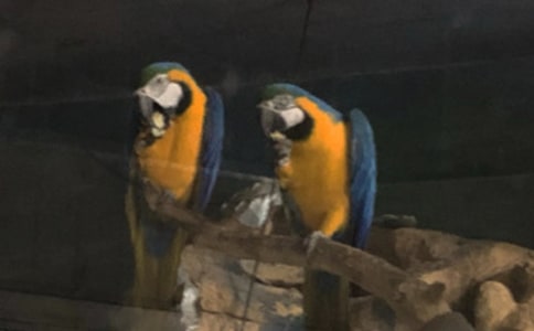�ҵĄ�(d��ng)�������W�^���ġ����T��