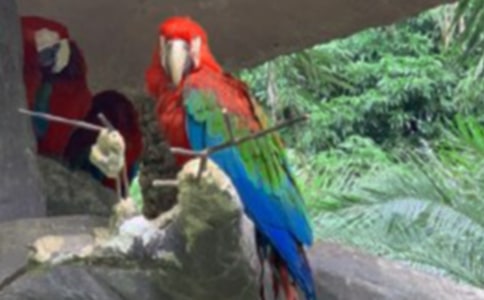 �W�^�ҵĄ����������ļ���15ƪ