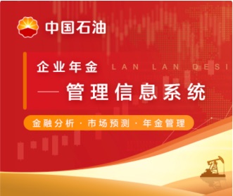 石油瑞飛企業年金管理信息系統界面設計（保密）